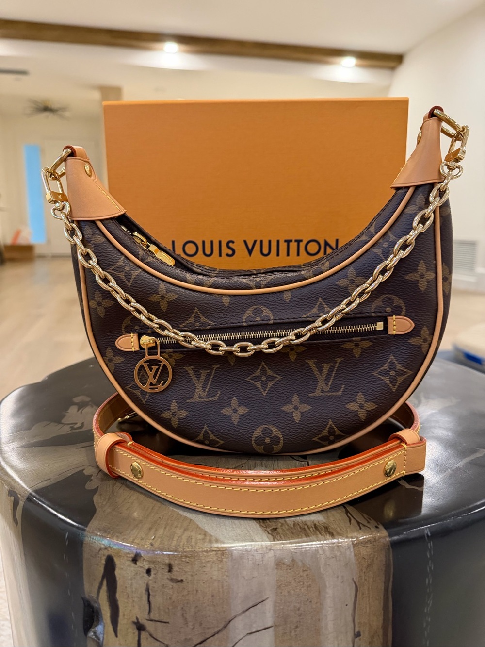 Louis Vuitton Monogram Loop Bag